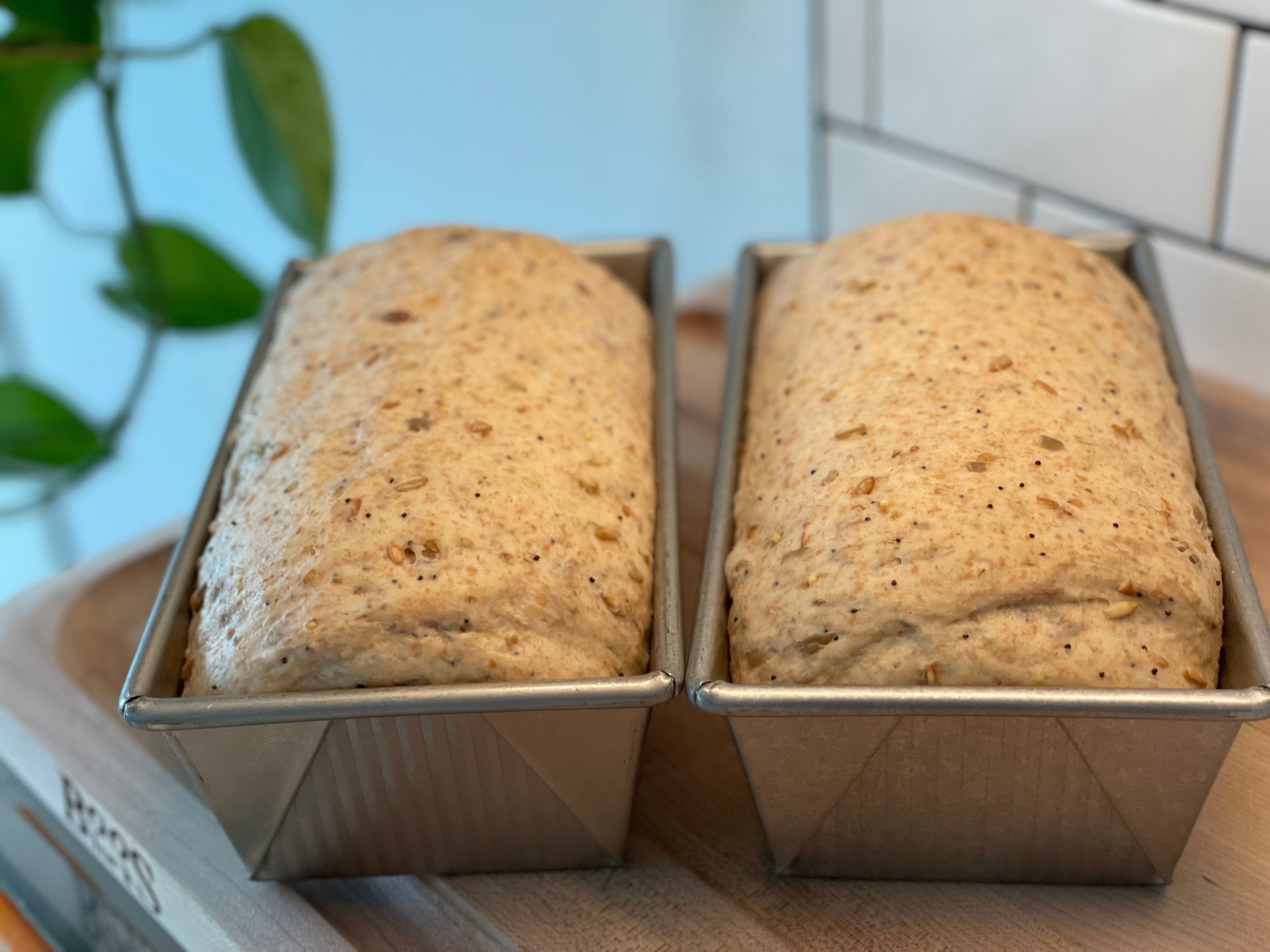 Shaped loaves rise just above the top of the loaf pan.