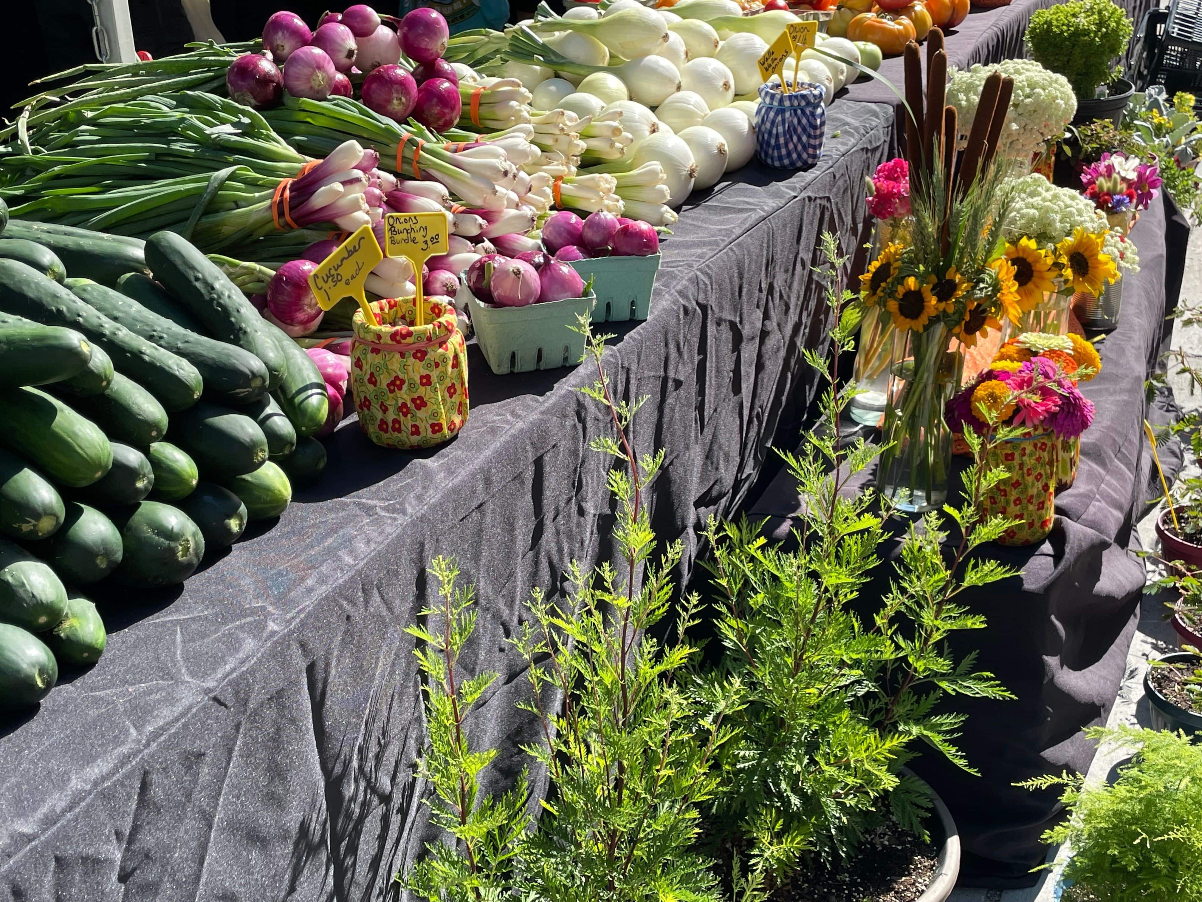 Cucumbers, onions, and plants for sale at the market.