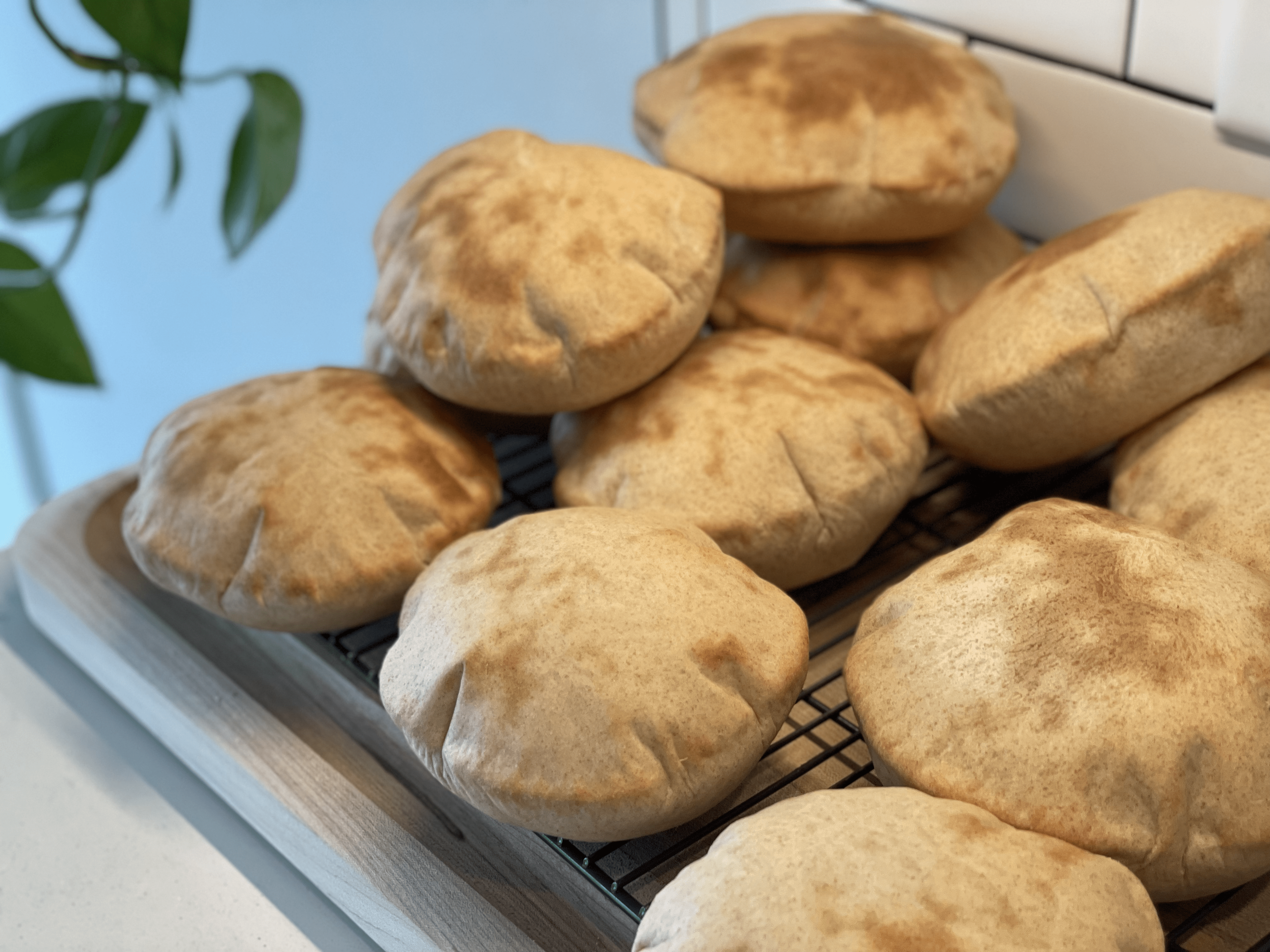 Puffy pita fresh from the oven cool on a rack. 