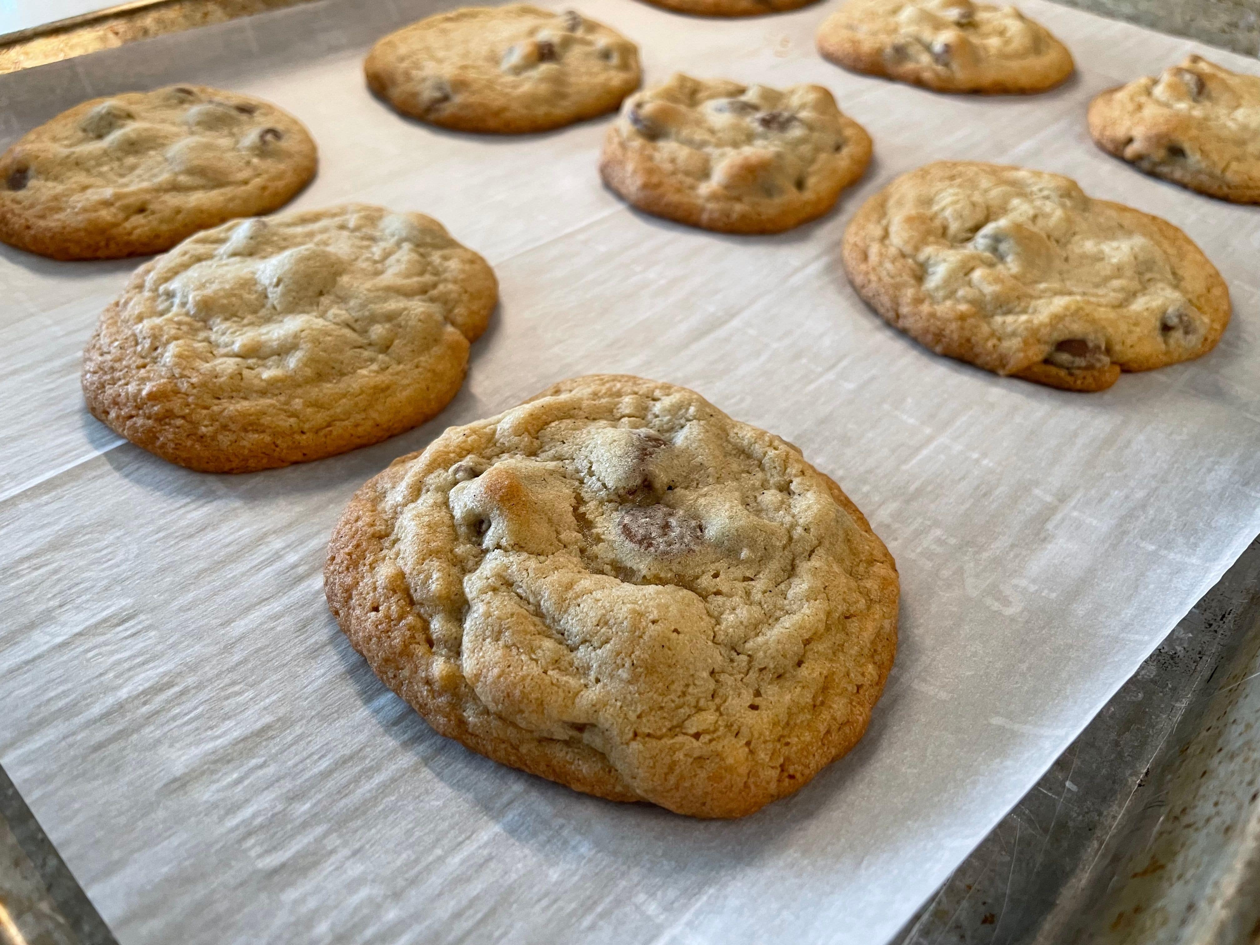 Fresh baked classic chocolate chip cookies cooling on the pan.